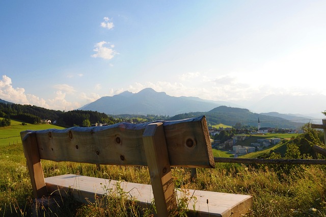 管理层洞悉